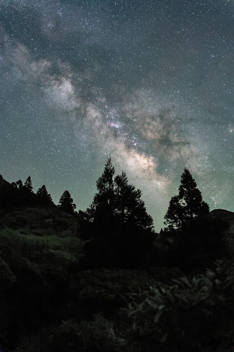 Milky Way Wedding Destinations