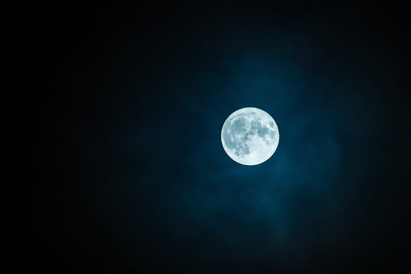 Moonlit Ambiance